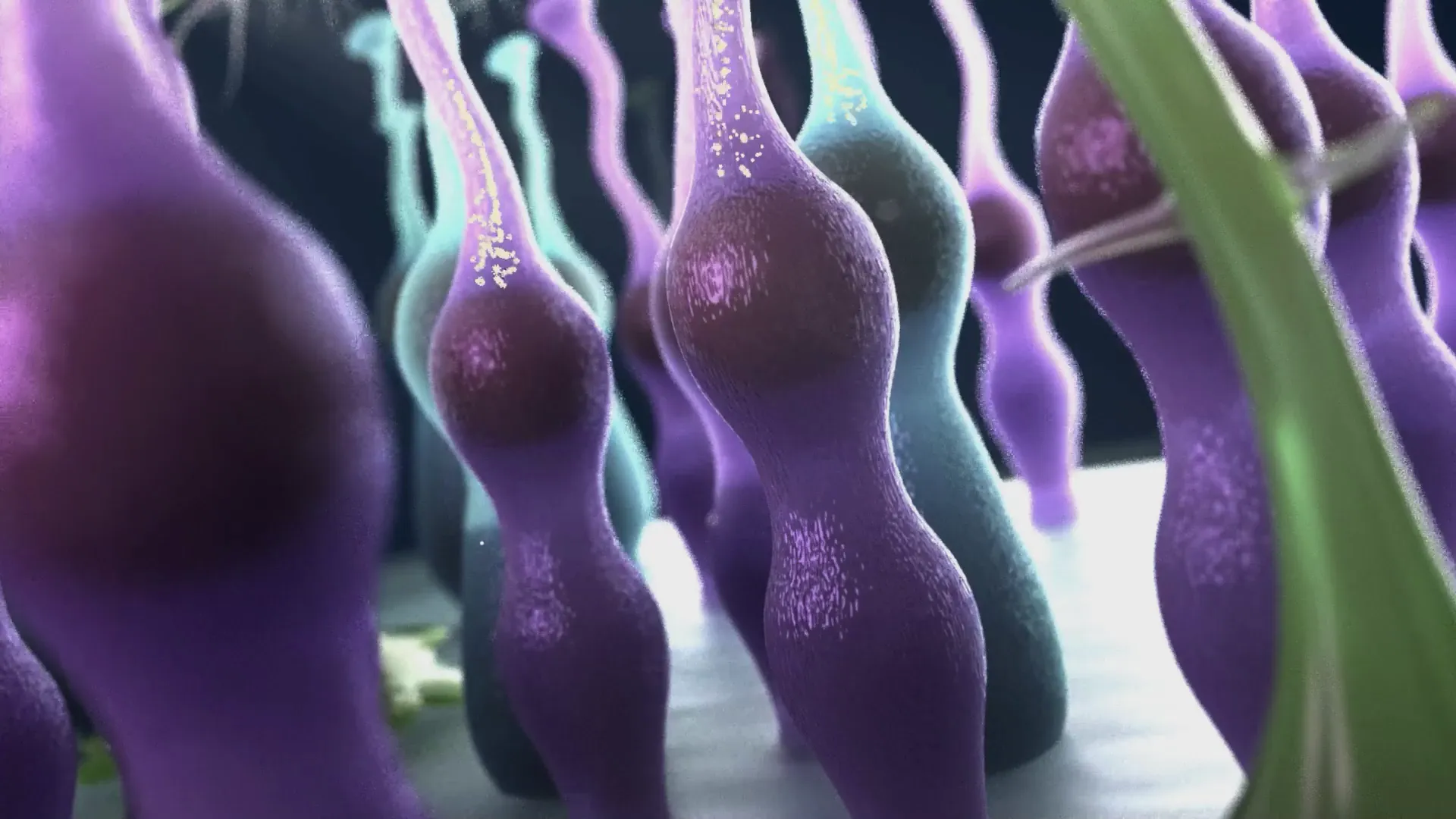 Preview of showreel video