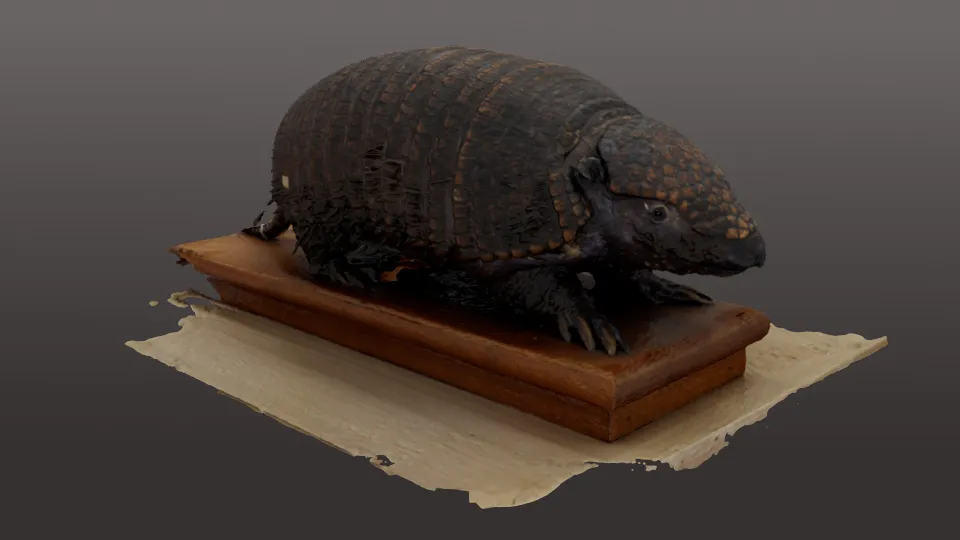 Original mesh from photogrammetry