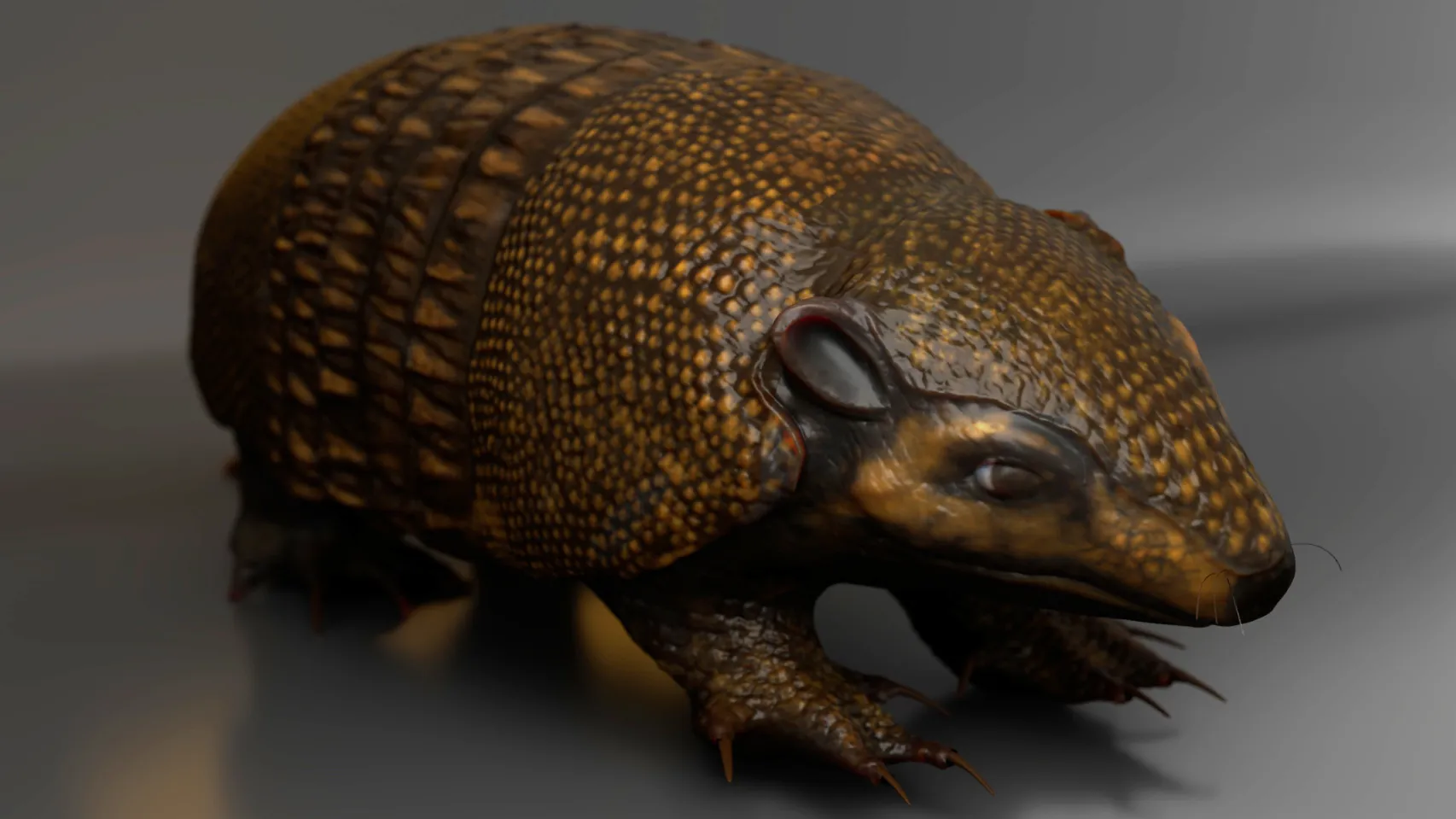 Armadillo 3D Model, Front View