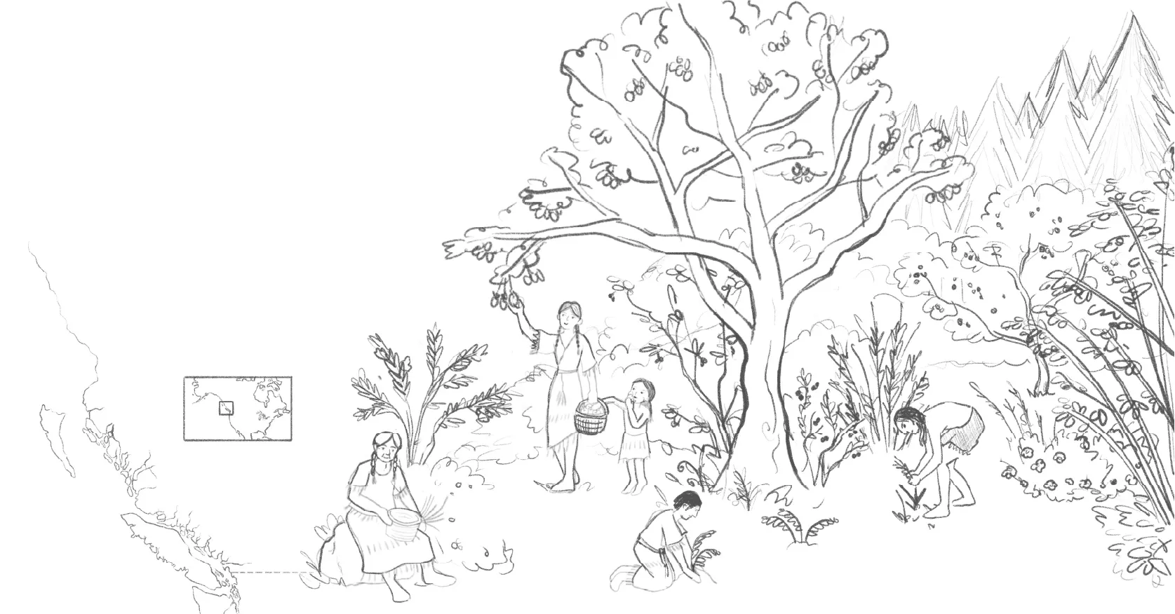 Preliminary pencil sketch establishing the forest garden composition
