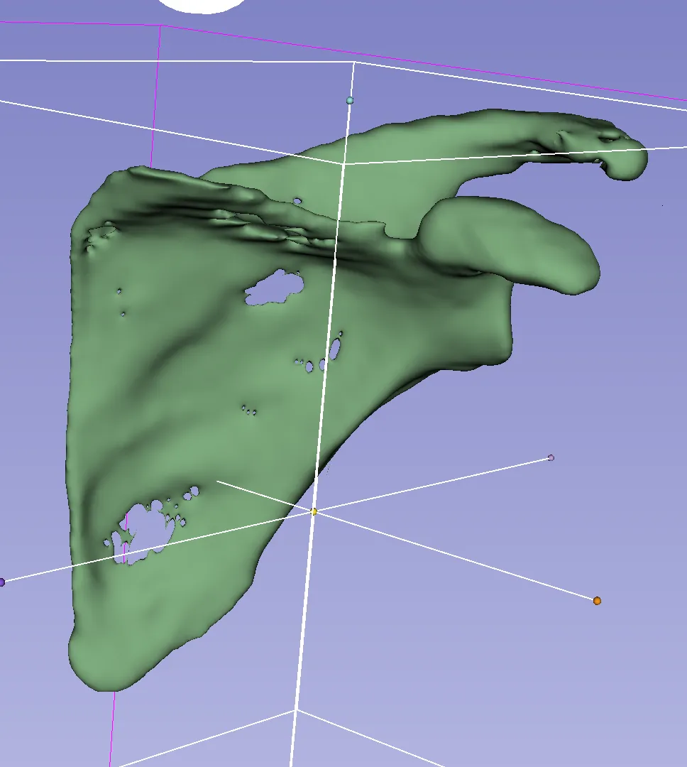 Scapula retopology mesh in Maya